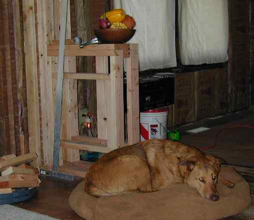 Rufus living with the mess